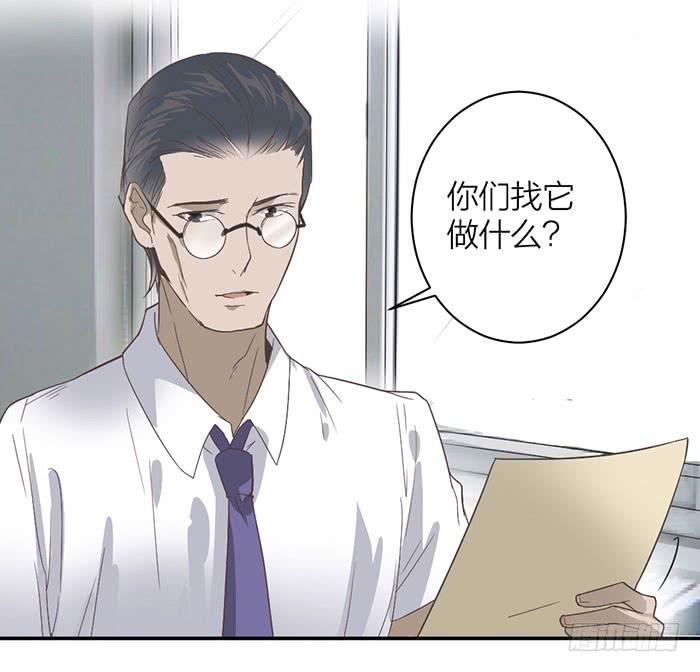第18话 鬼市寻宝-第18话