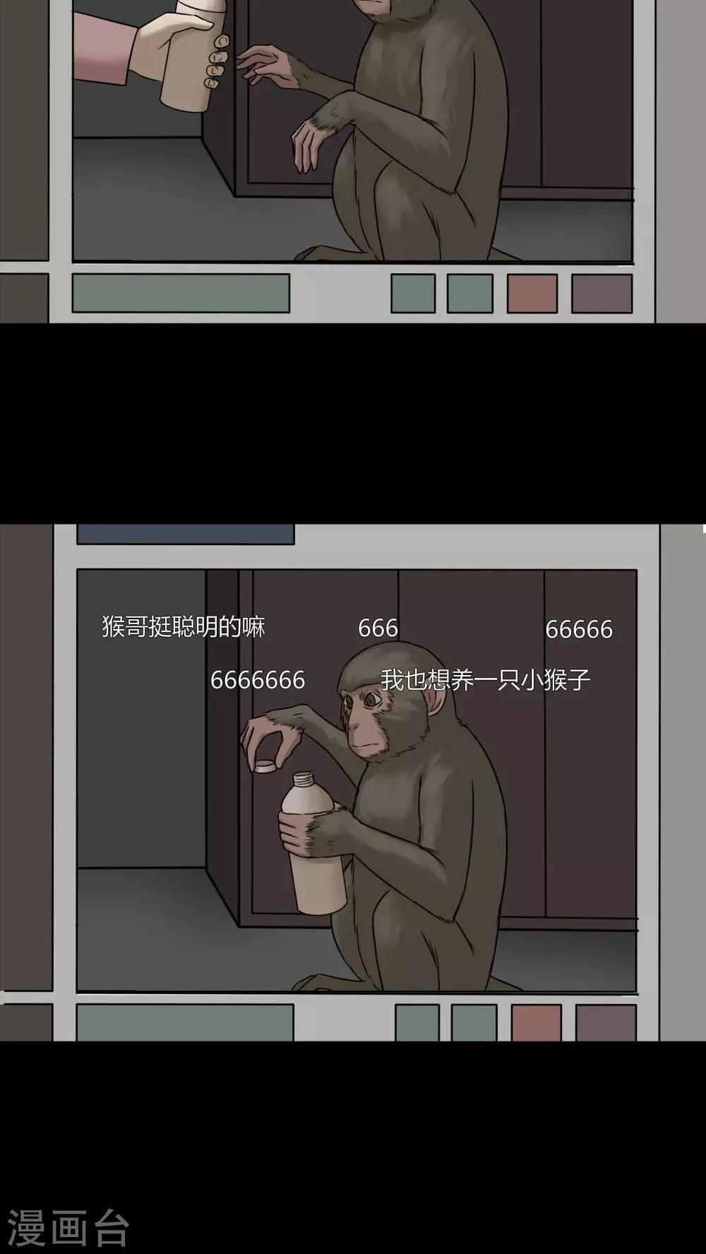 第84话 猴知猴觉(1)-第84话