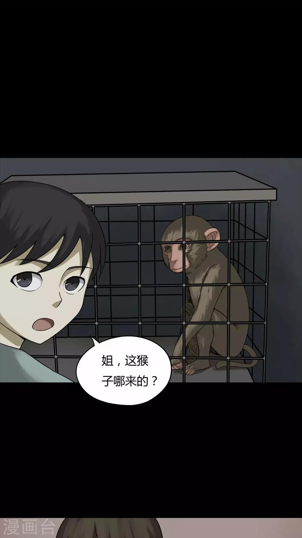 第84话 猴知猴觉(1)-第84话