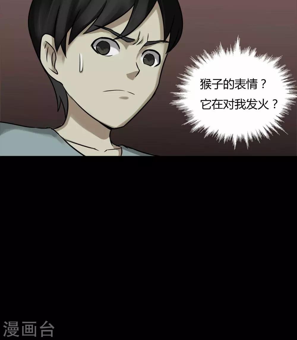 第84话 猴知猴觉(1)-第84话