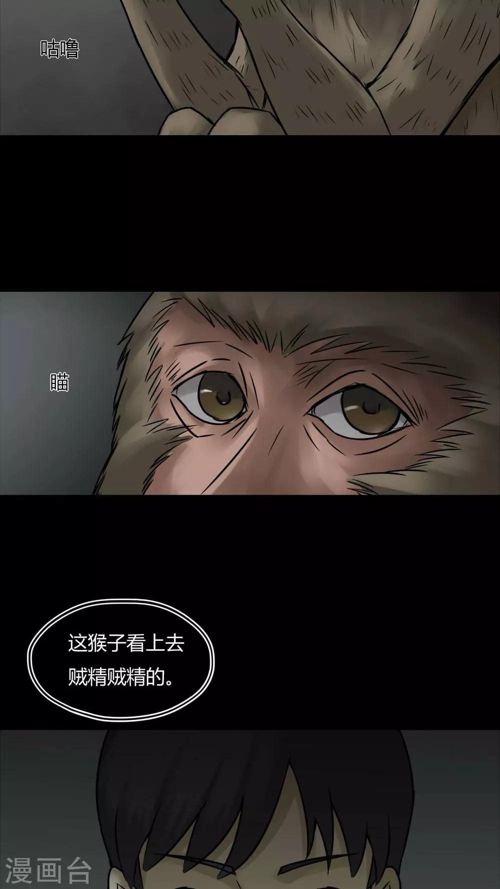 第84话 猴知猴觉(1)-第84话