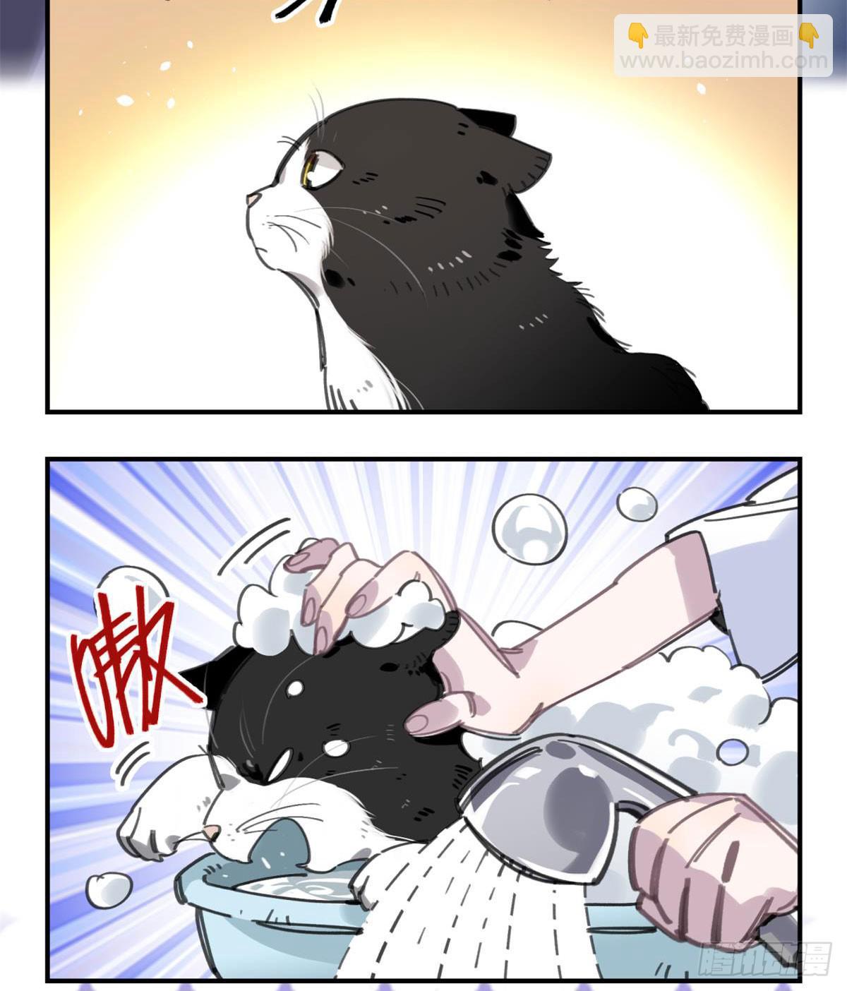 我要留在这里(1/2)-第54话