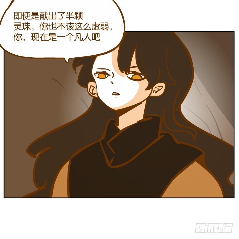 我已经不想报复你了(1/2)-第62话
