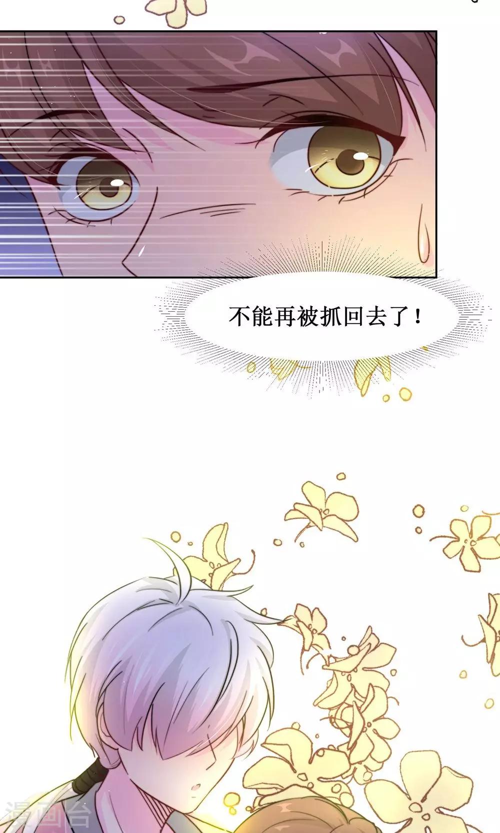 第10话 巷子里的花美男-第12话