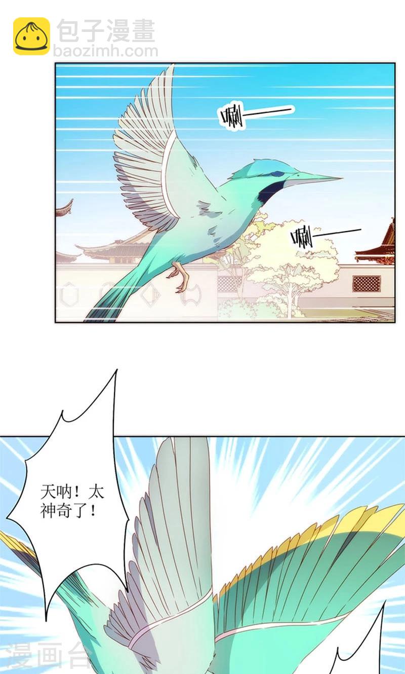 第75话-第78话