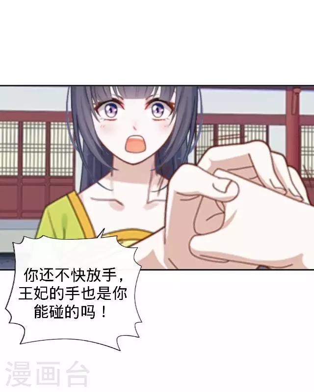 第22话 王妃遇刺(1/2)-第22话