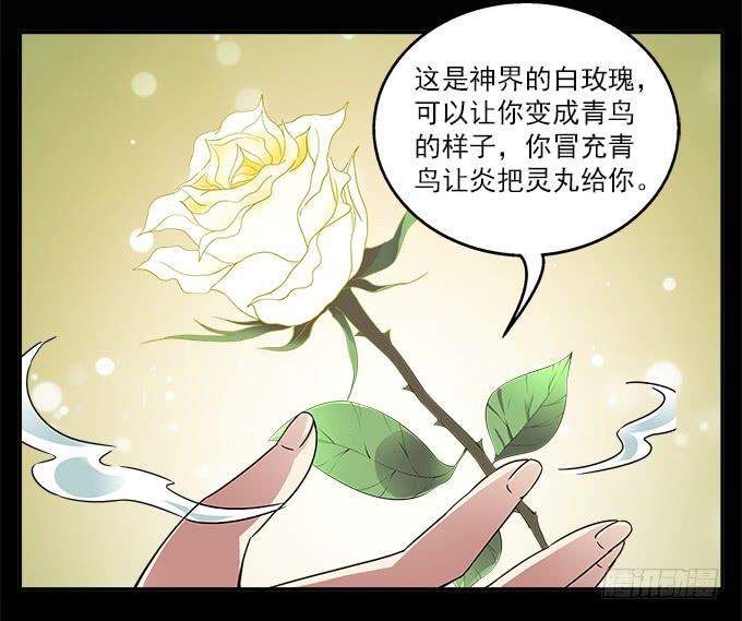 【白玫瑰4】镜子中的美丽-第14话