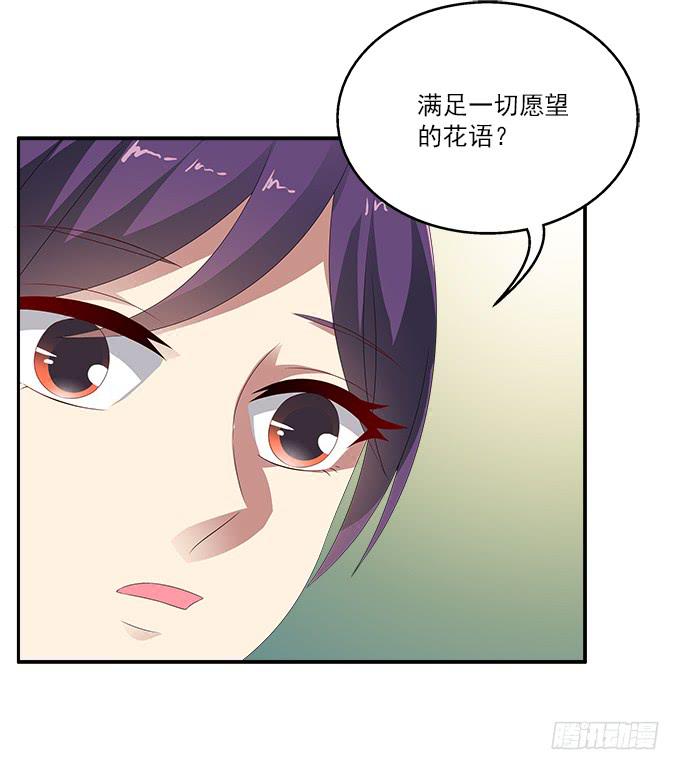 紫藤花店-第66话