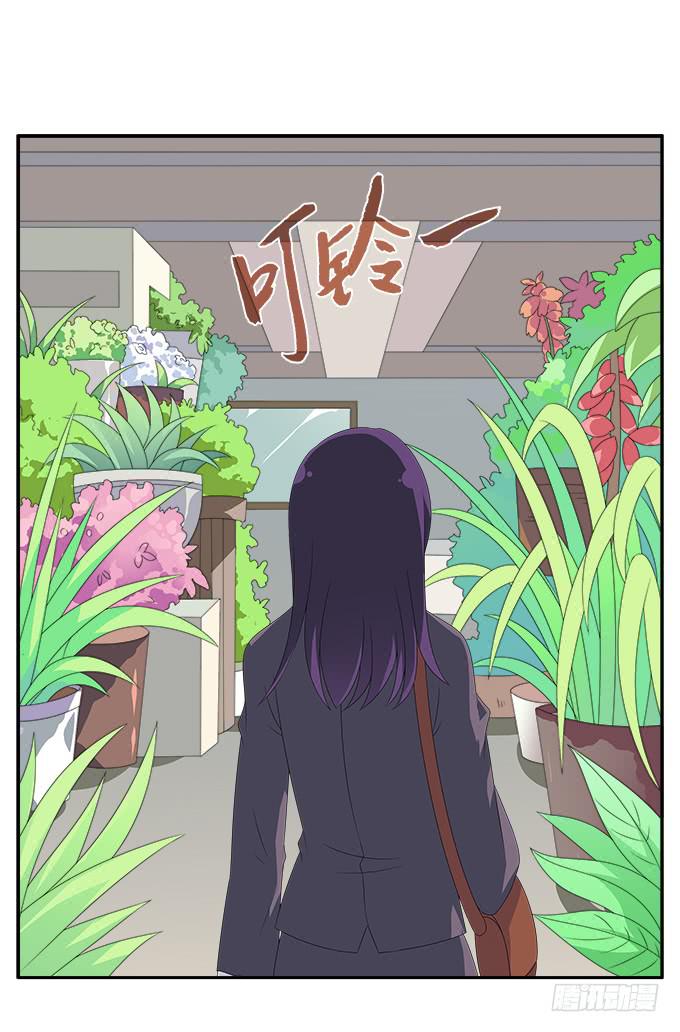紫藤花店-第66话
