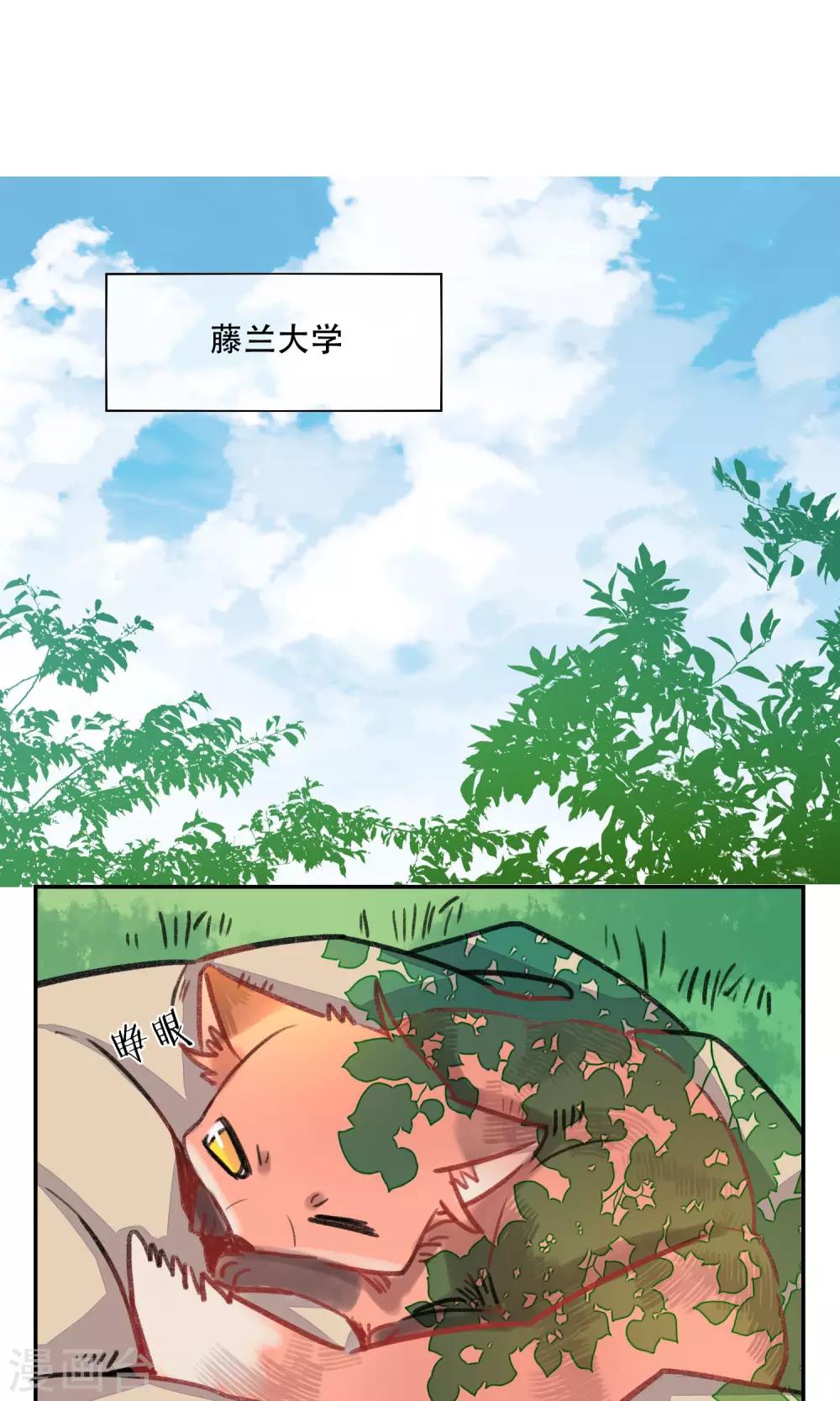 第3话 奇怪的人类-第4话