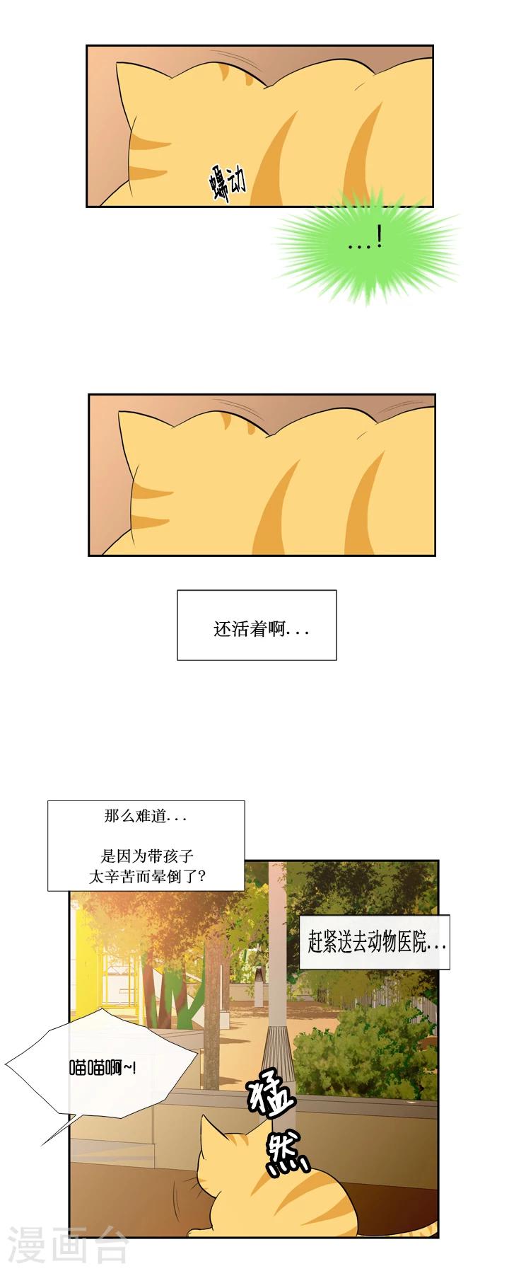 第36话-第36话