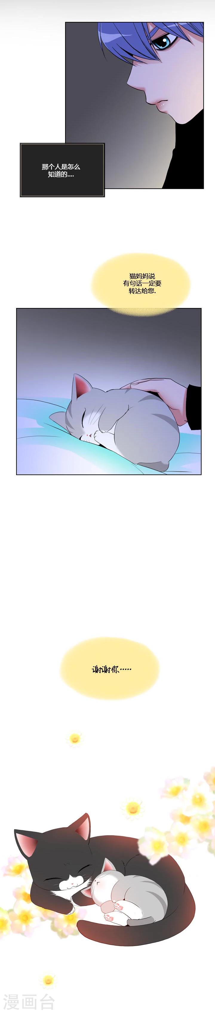 第54话-第54话