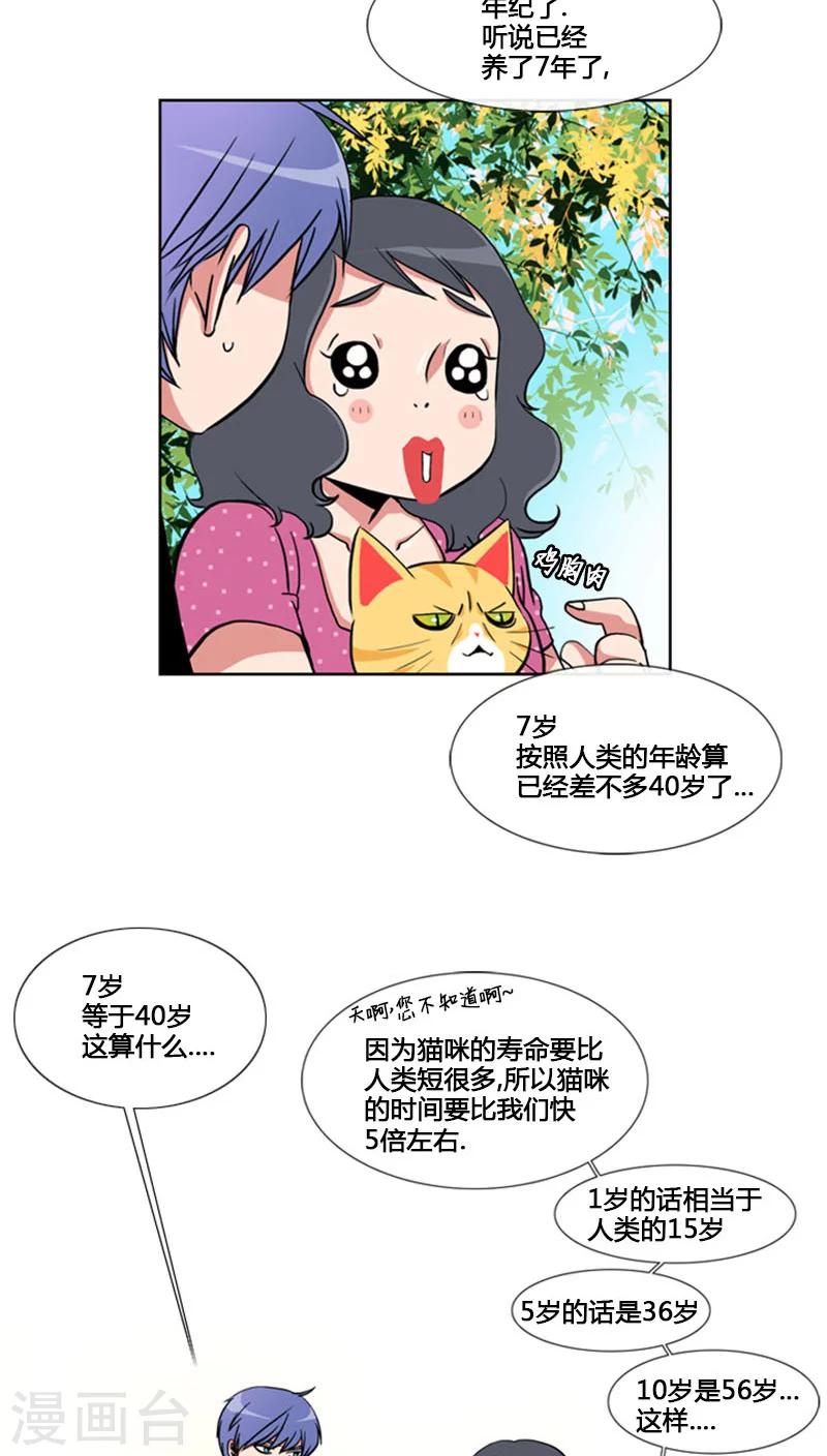 第64话-第64话