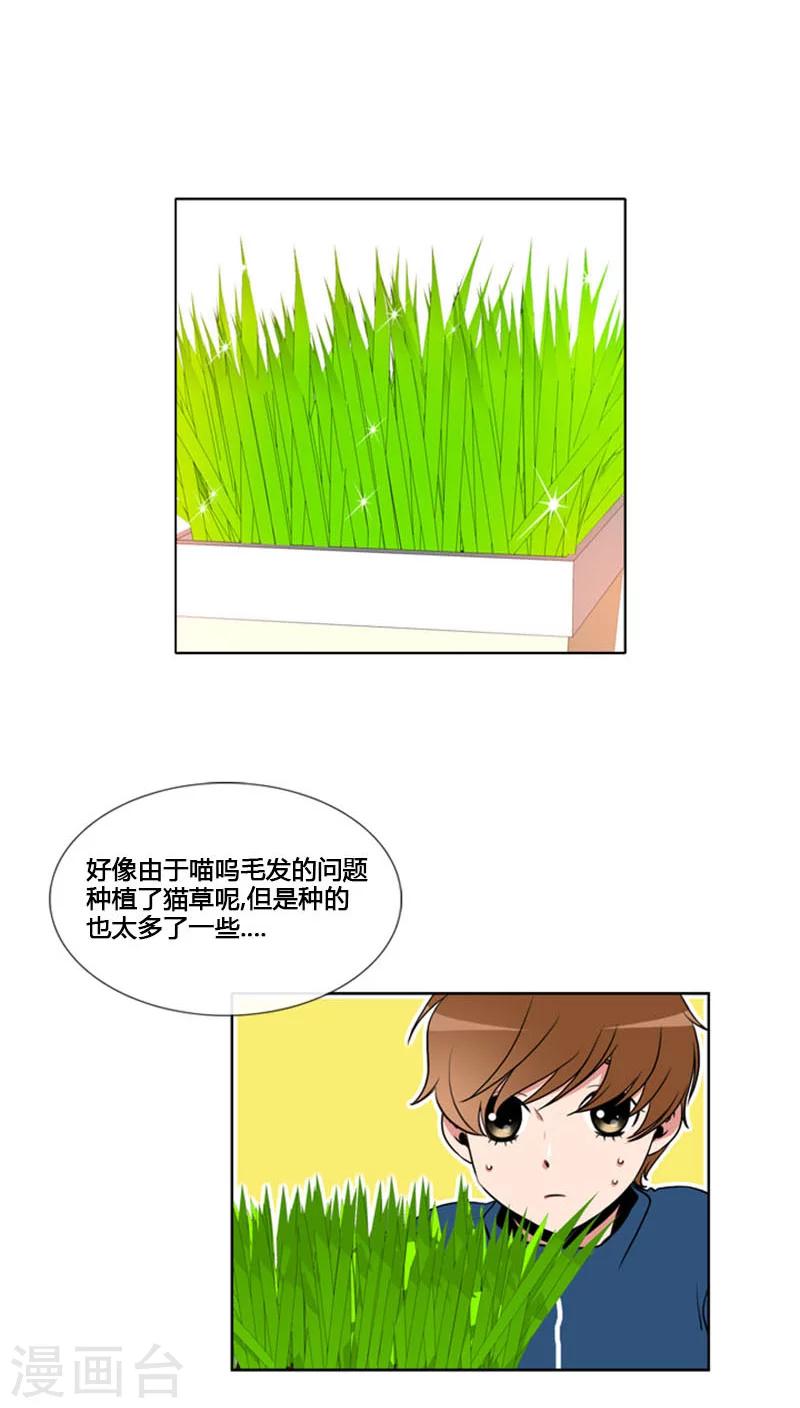 第82话-第82话