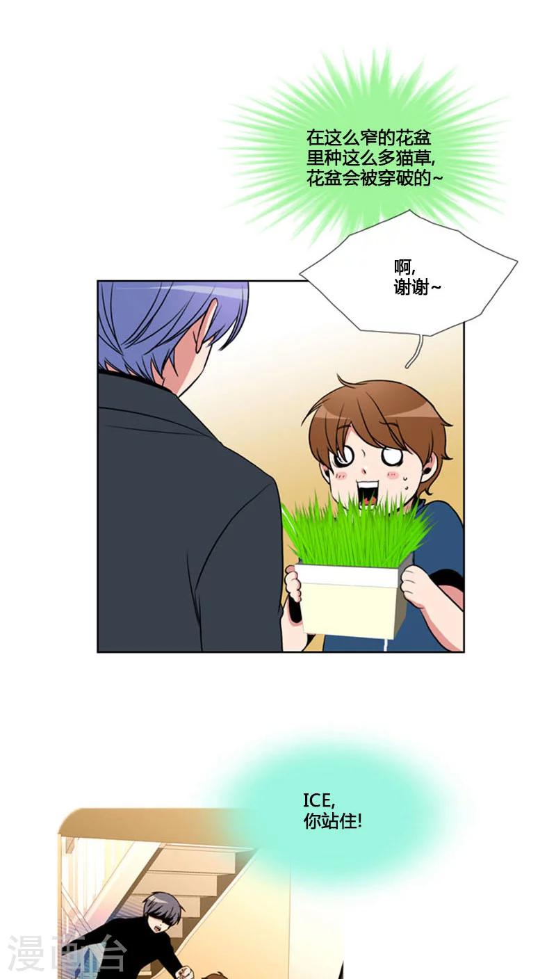 第82话-第82话