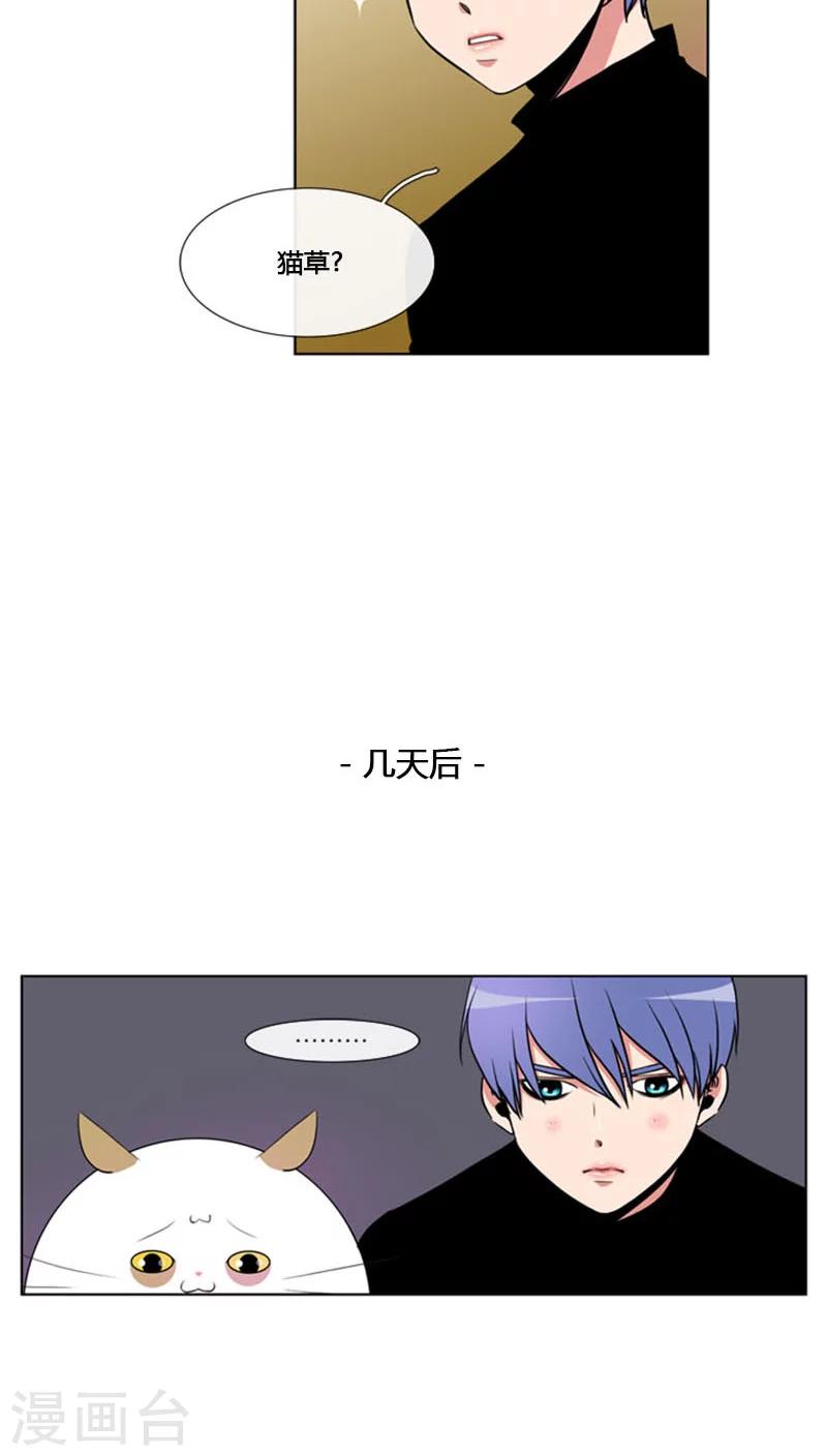 第82话-第82话