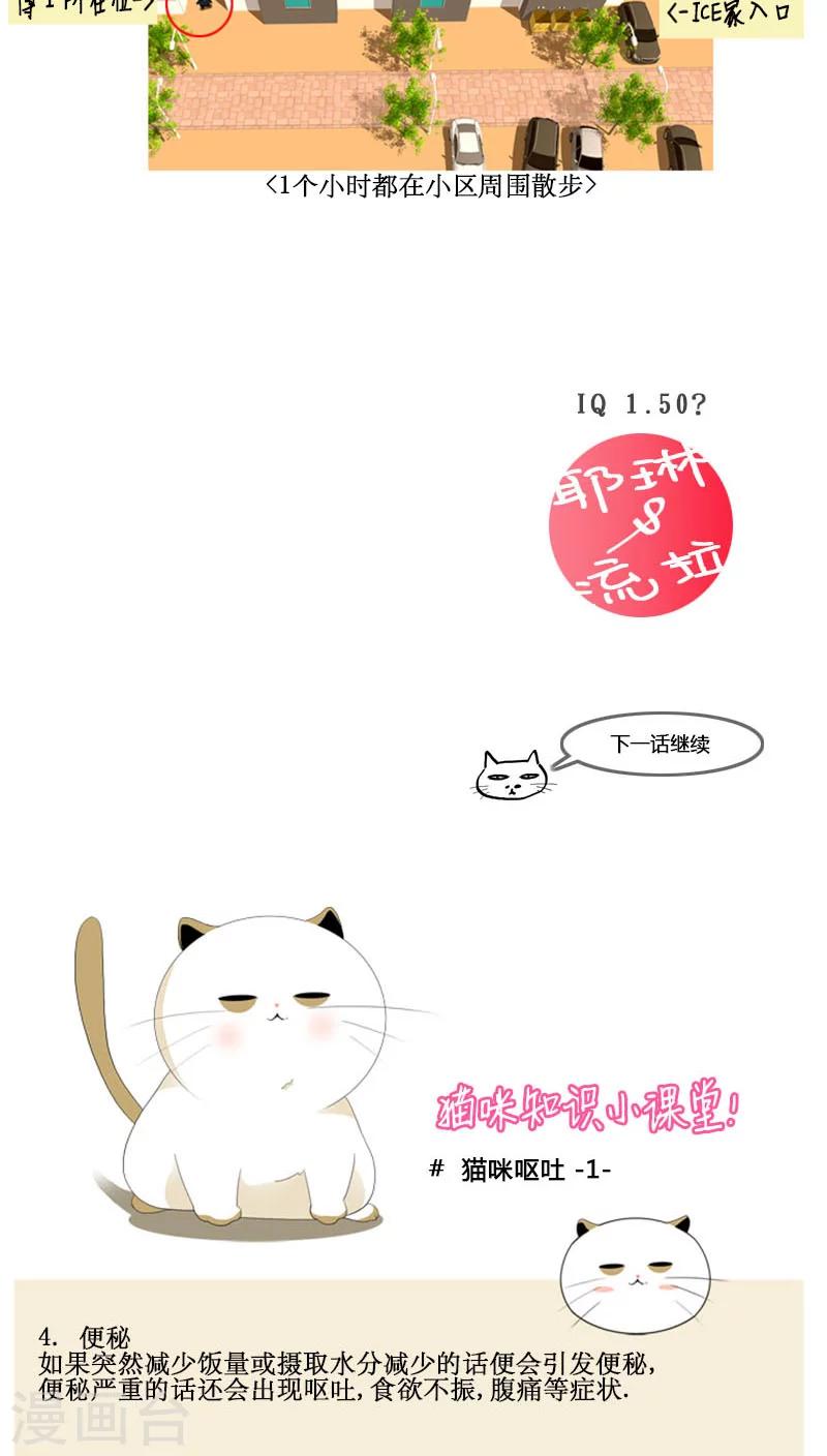 第82话-第82话