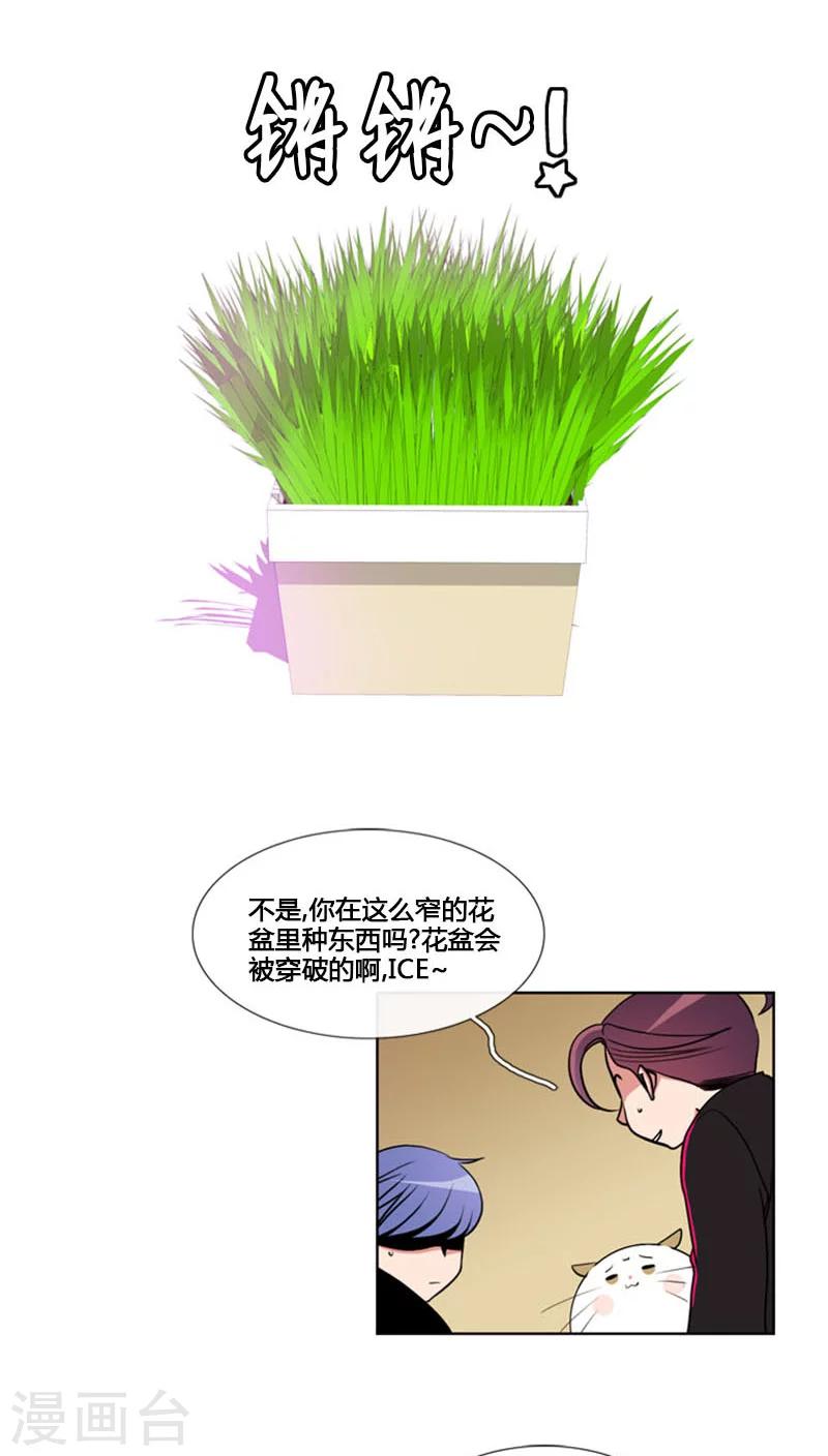 第82话-第82话