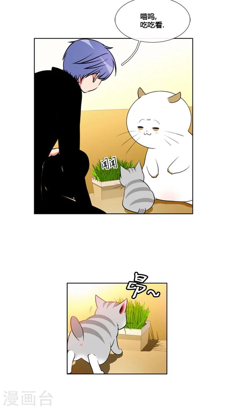 第82话-第82话