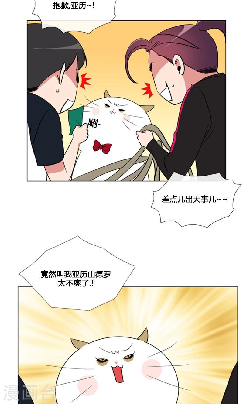 第84话-第84话