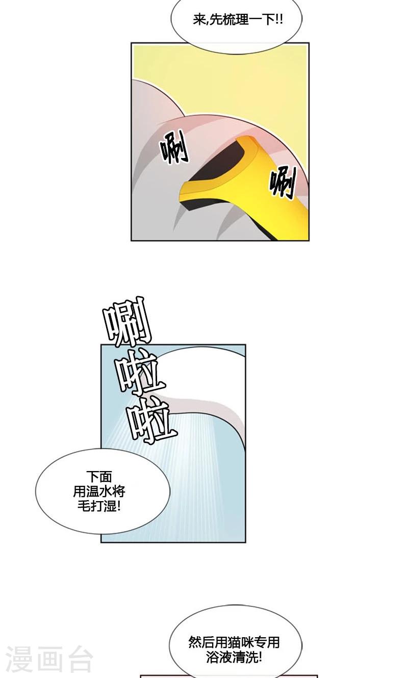 第84话-第84话