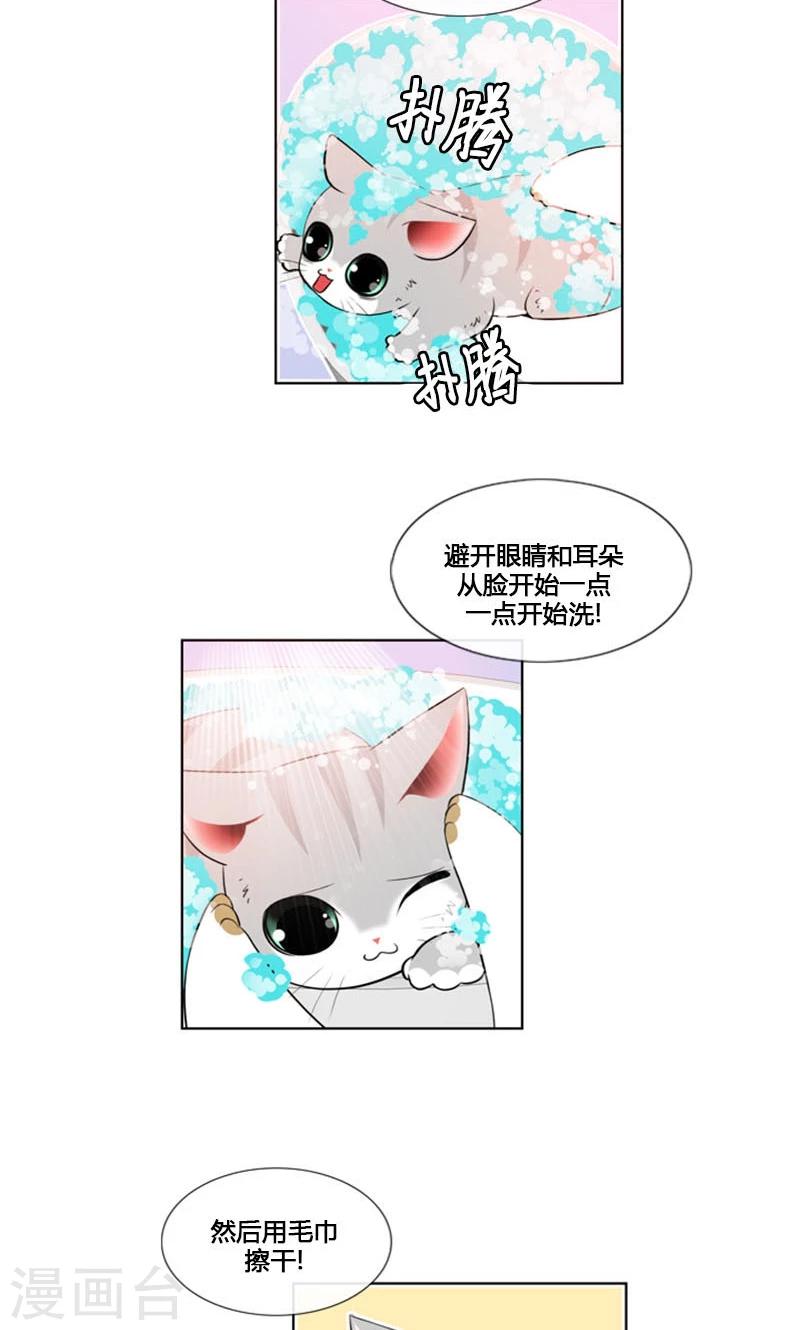 第84话-第84话