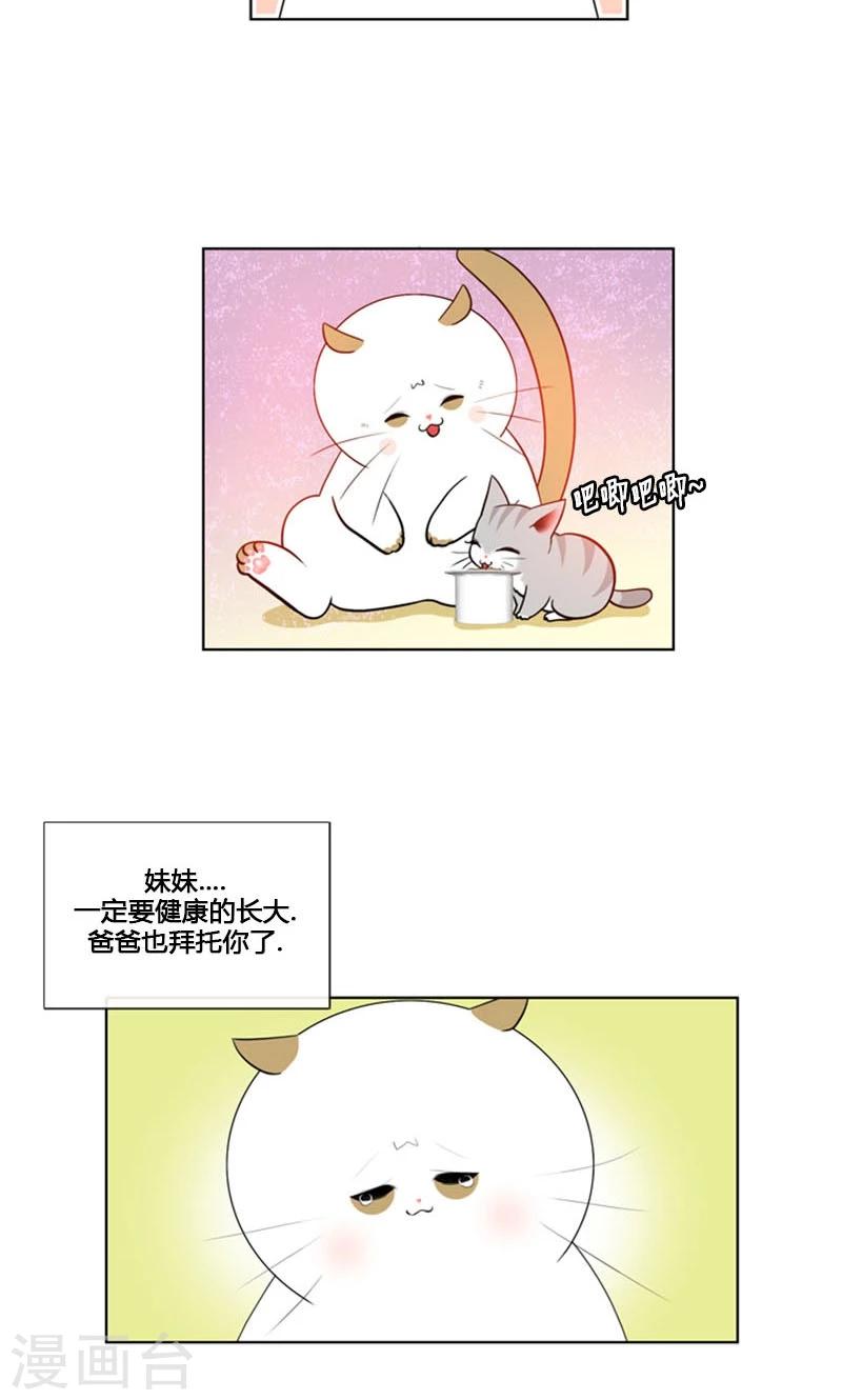 第84话-第84话