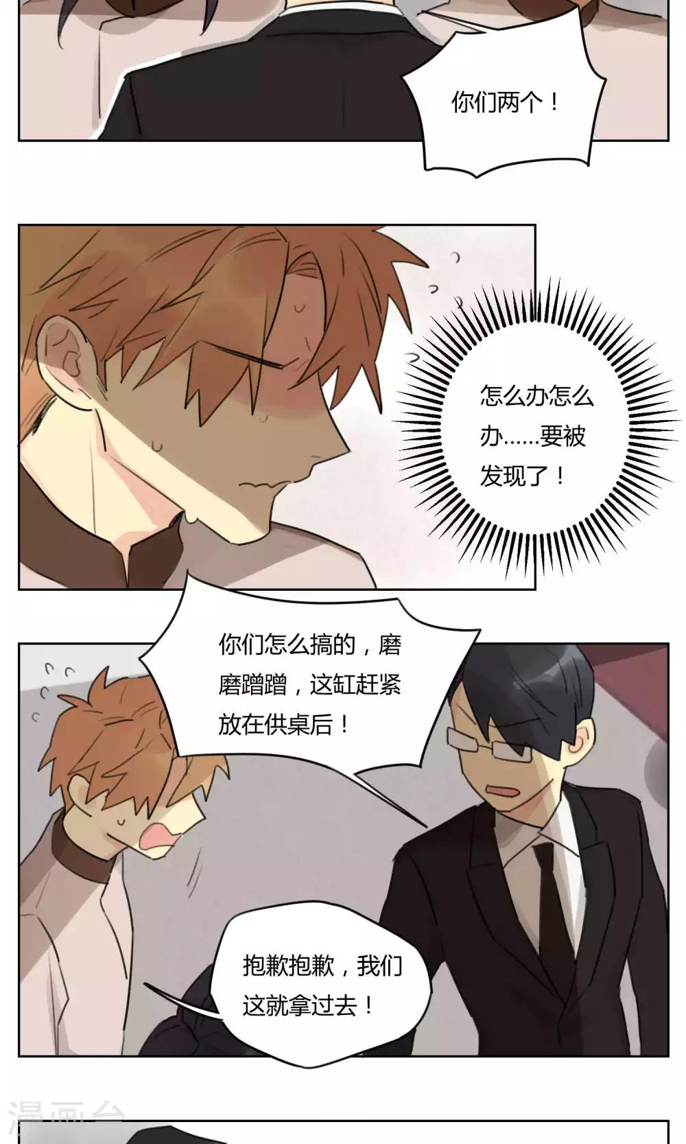 第60话 绝不服输-第62话