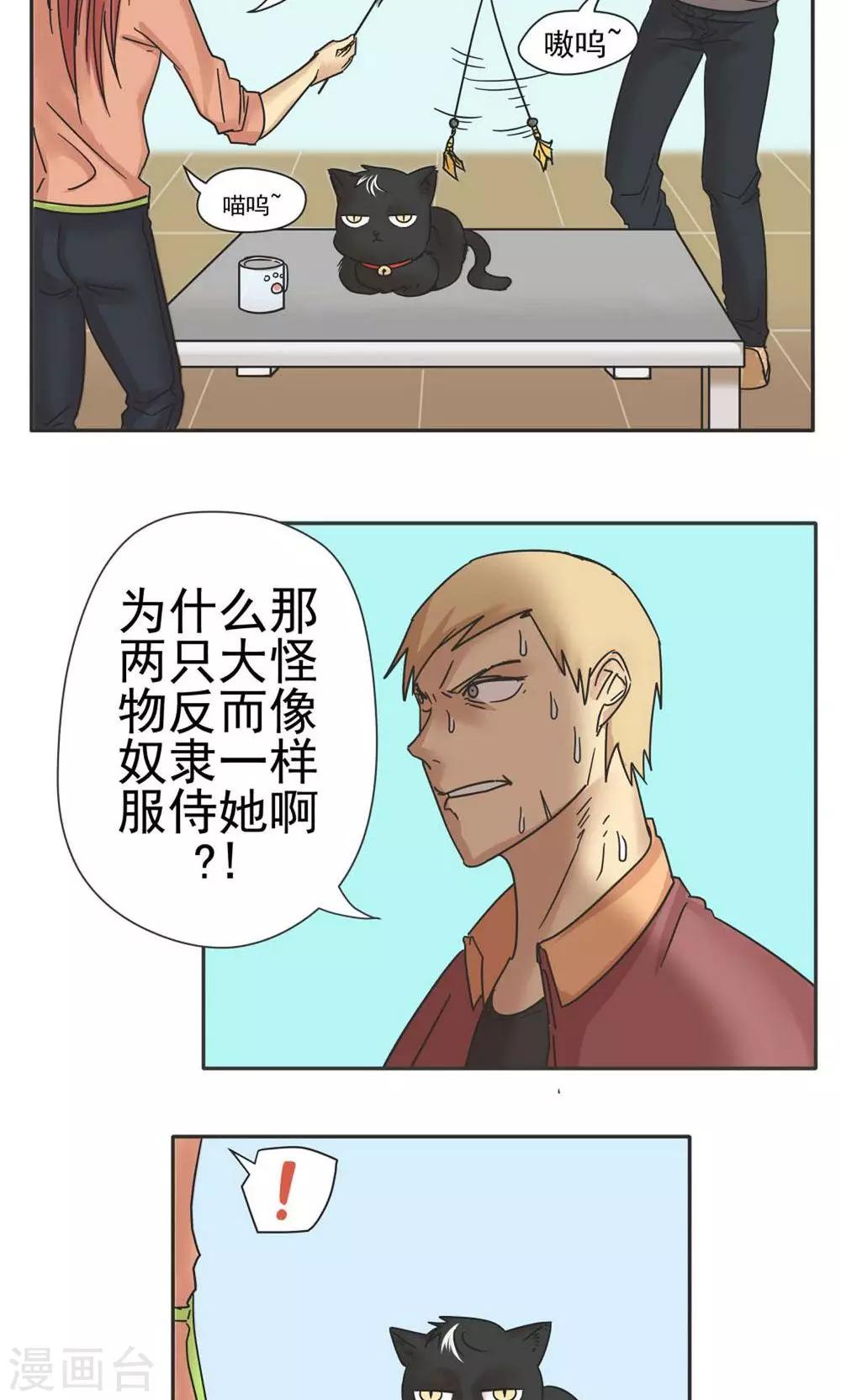 第12话-第12话