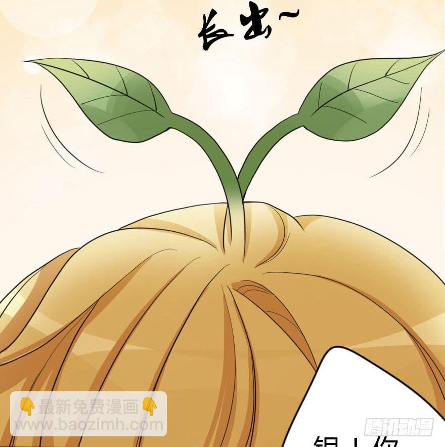 你见过黑色的婚纱吗？(1/2)-第38话