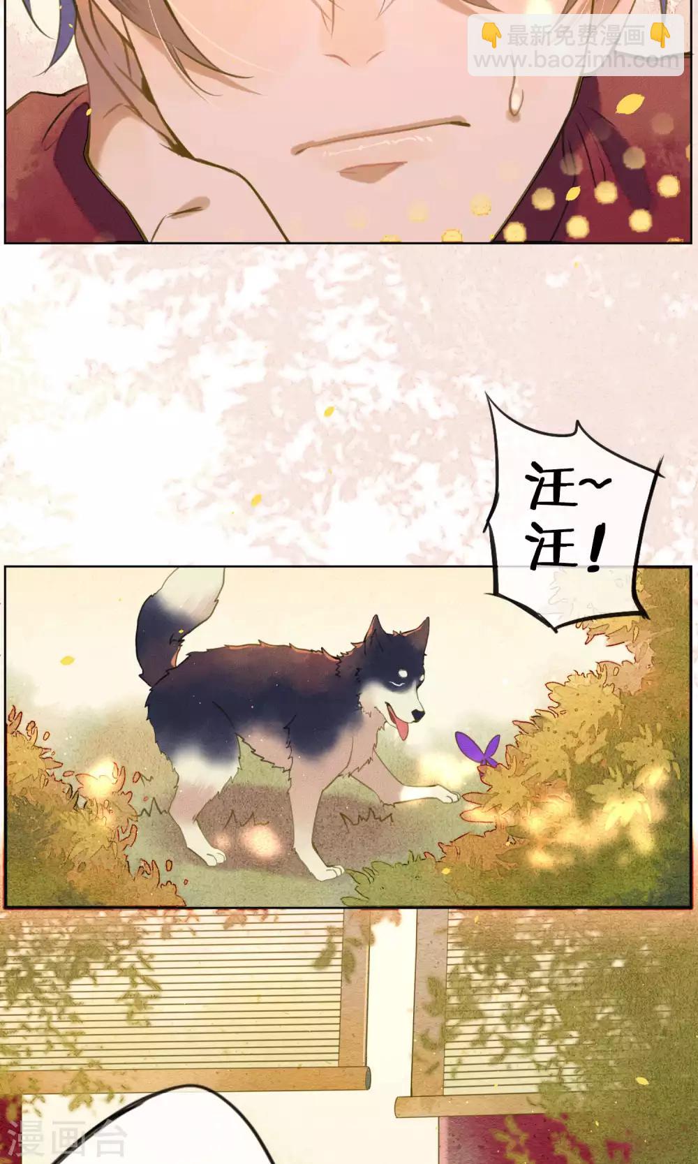第43话 不同寻常的阿图-第48话