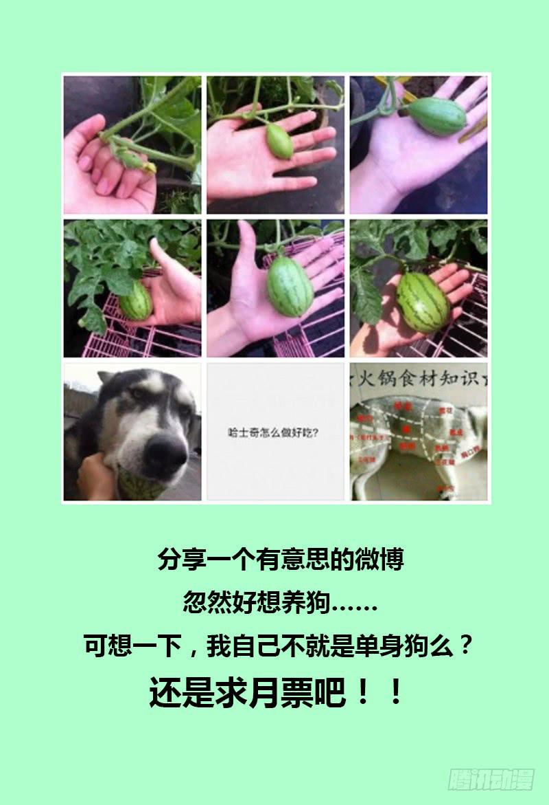 🍴极乐世界 184.安排 第17页