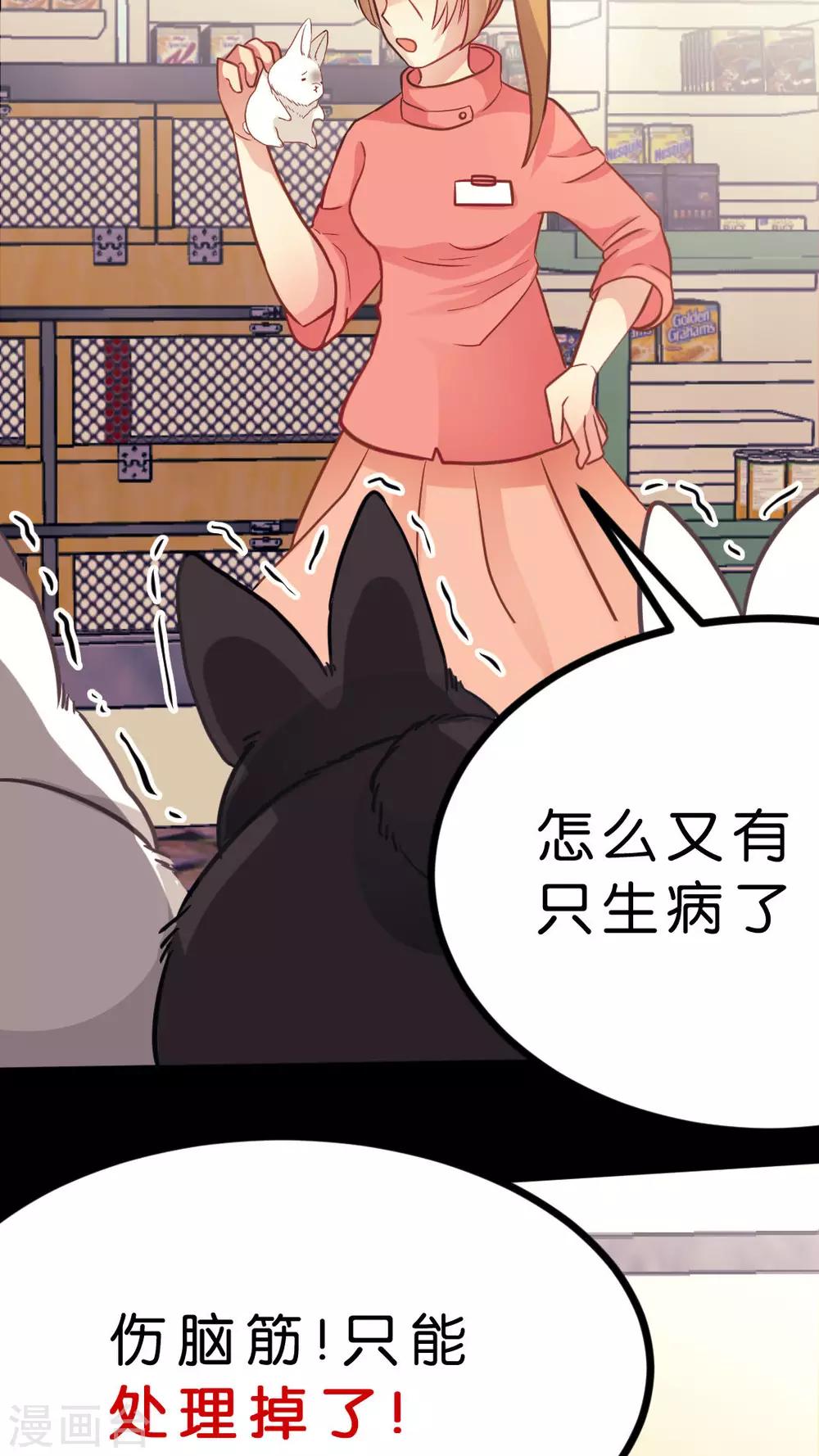 第34话 关于这只兔子的过去（1）-第36话