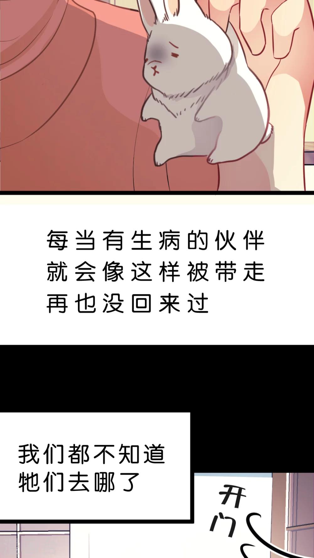 第34话 关于这只兔子的过去（1）-第36话