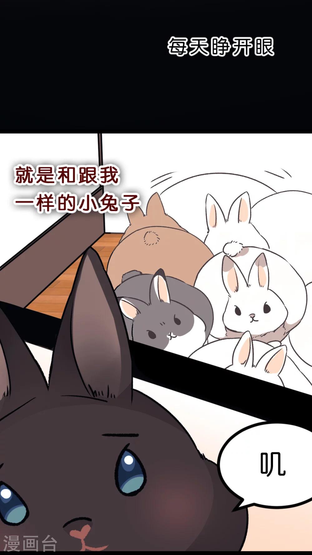 第34话 关于这只兔子的过去（1）-第36话