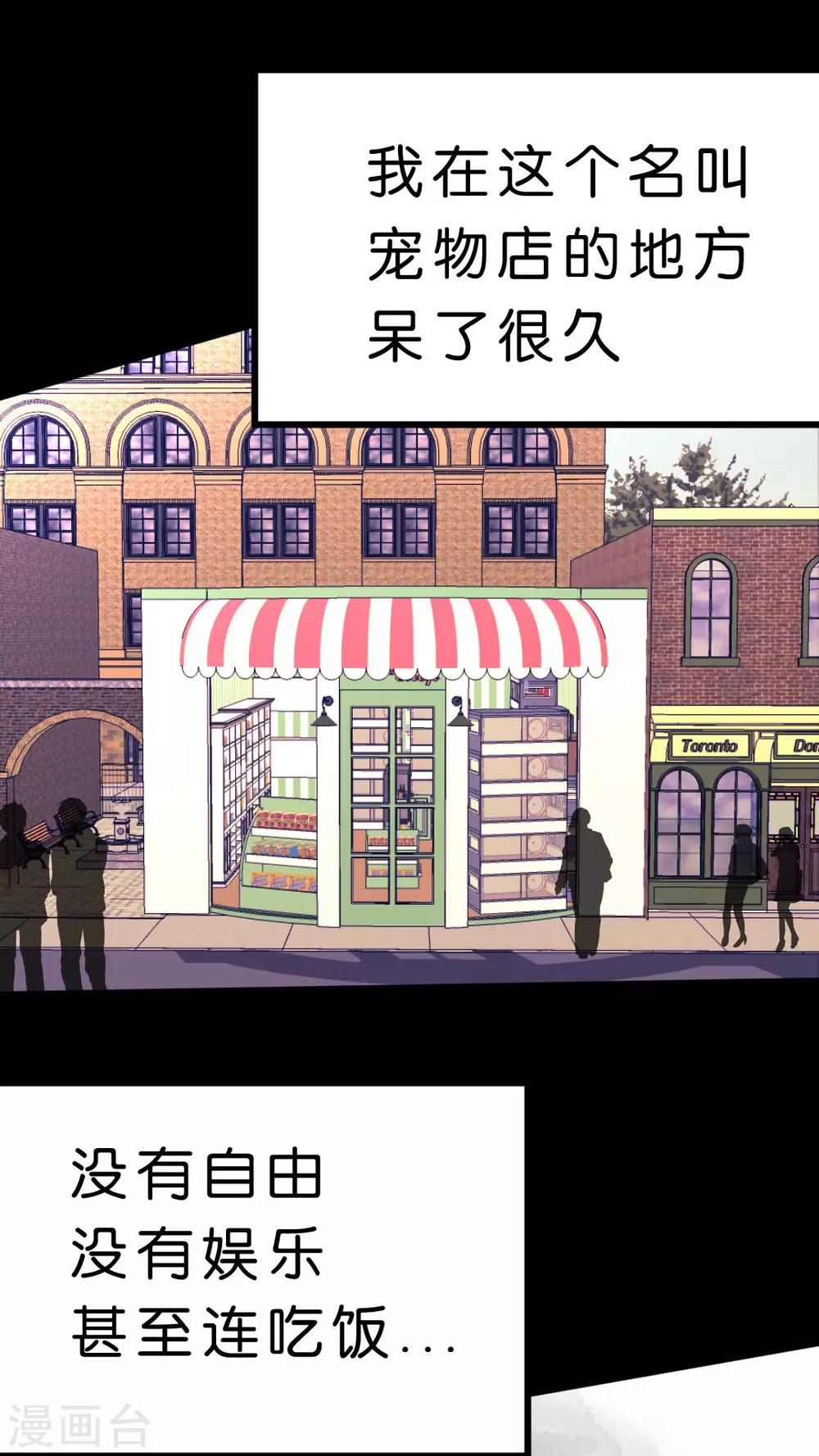 第34话 关于这只兔子的过去（1）-第36话
