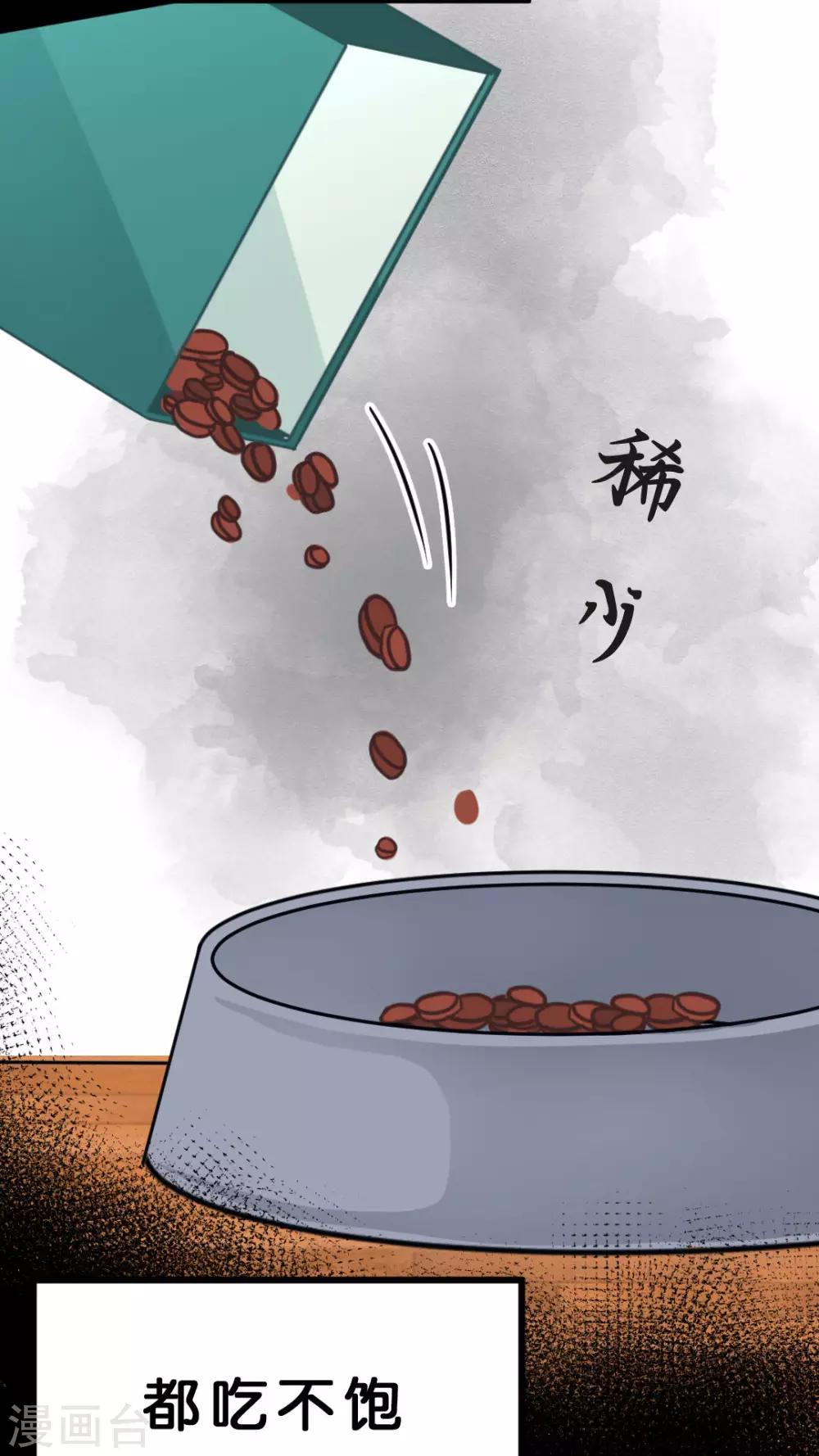第34话 关于这只兔子的过去（1）-第36话