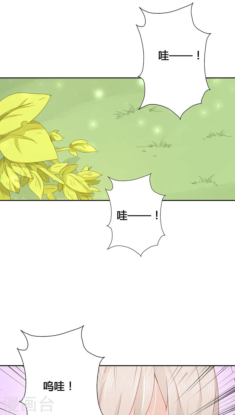 第14话(1/2)-第14话
