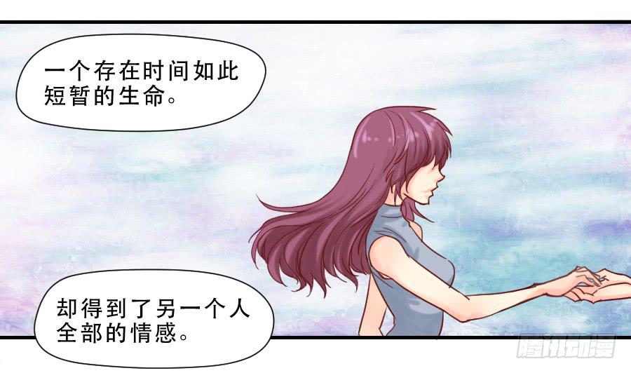 思念成终-第44话