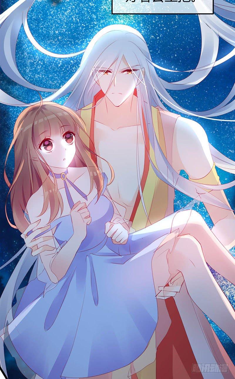 神晕（碰）倒（瓷）？(1/2)-第4话