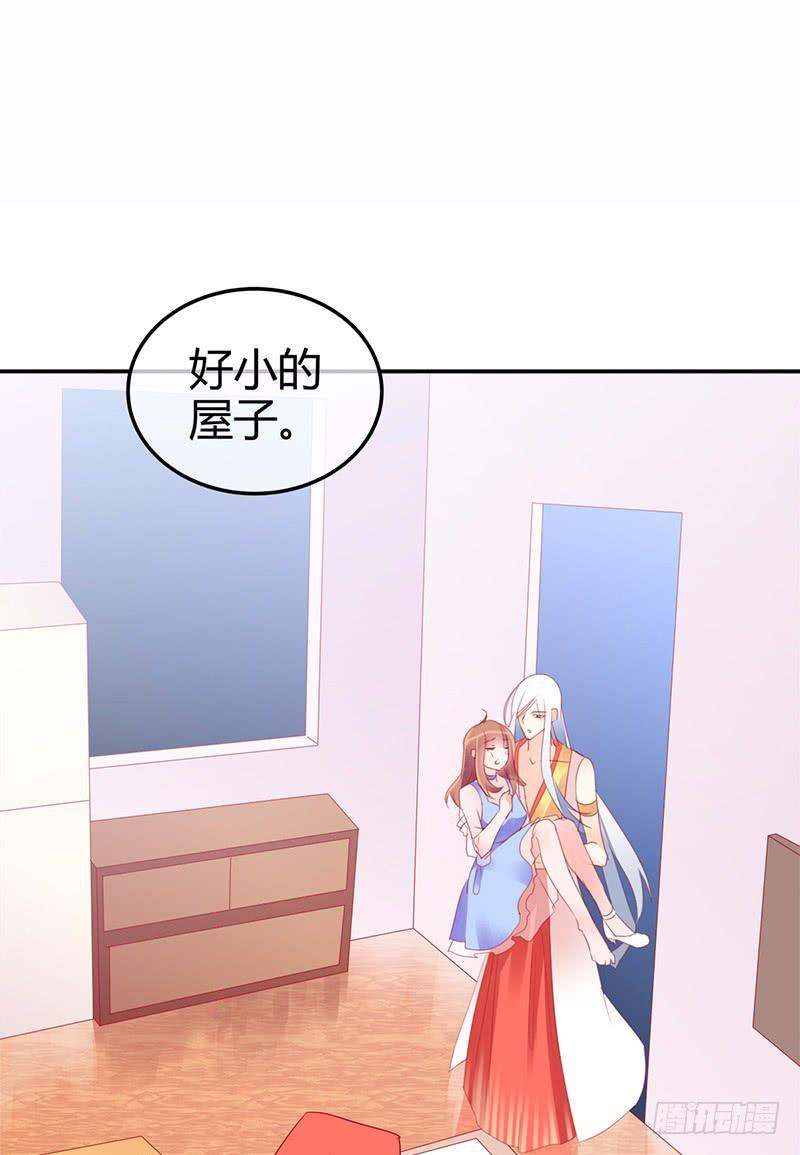 神晕（碰）倒（瓷）？(1/2)-第4话