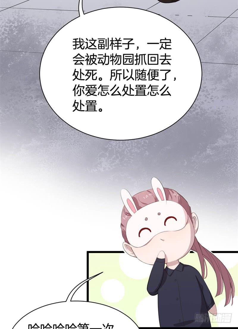 042黑眼圈不是坏妖怪（十）-第46话