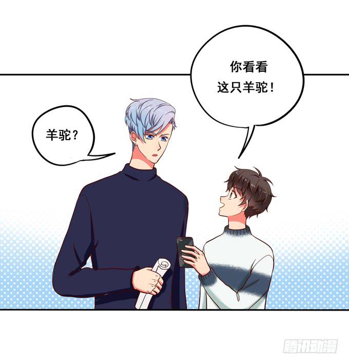 小番外-第28话