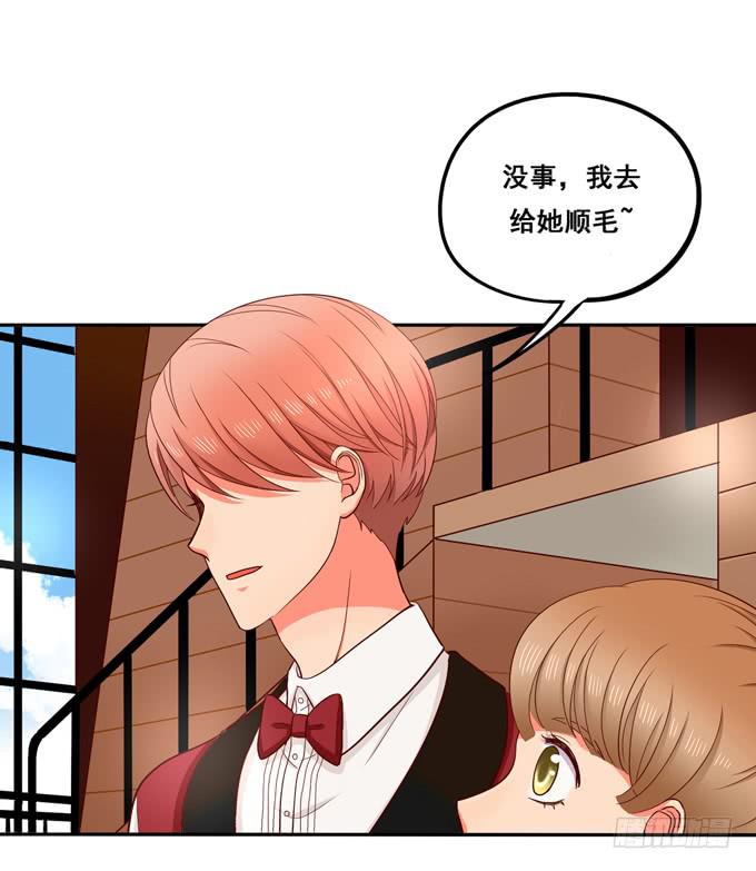 第35话：粉红佳人(1/2)-第38话