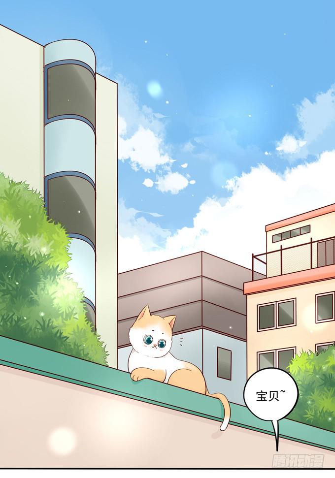 第6话：大佬变成小公举了？！-第6话
