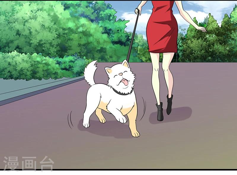 🍴就想要个女朋友 第229话 扛雷 第3页