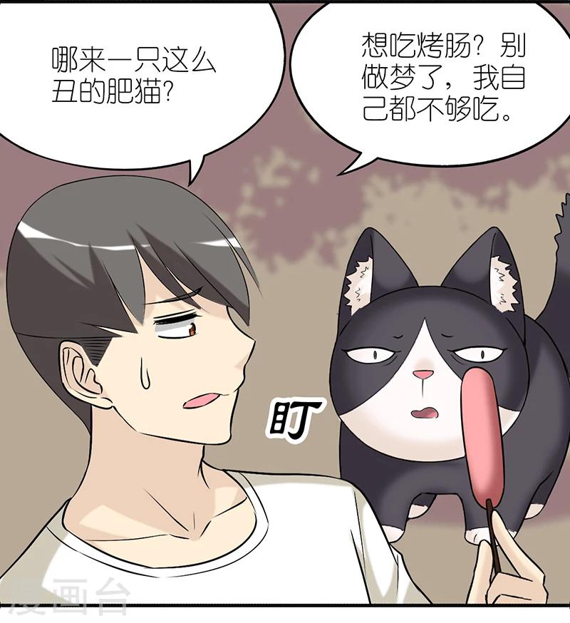 🍴就想要个女朋友 第381话 宠物1 第5页