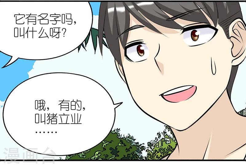 🍴就想要个女朋友 第383话 宠物3 第11页