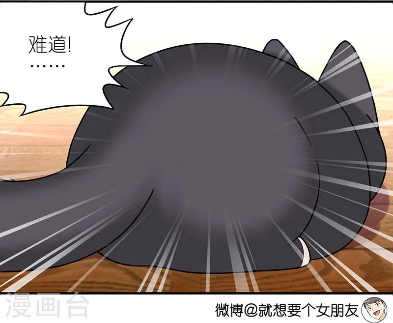 🍴就想要个女朋友 第383话 宠物3 第3页