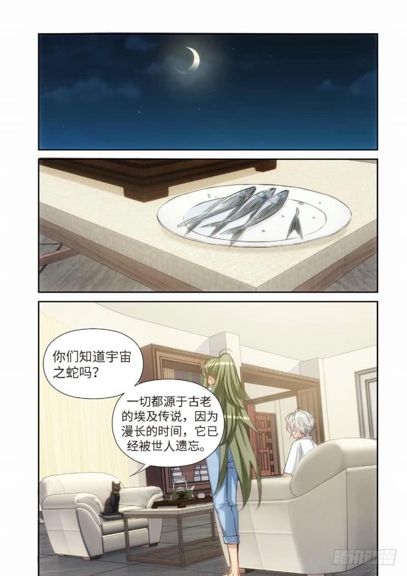 82.猫来了（02）-第84话